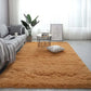 LUXEHAEVEN Fluffy Carpet Rugs For Bedroom living Room Rectangle Large Size Plush Anti-slip Soft Carpet LuxeHaeven