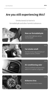 LUXEHAEVEN Luxury Car Perfume