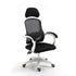 LUXEHAEVEN Ergonomic Computer Gaming Chair LuxeHaeven