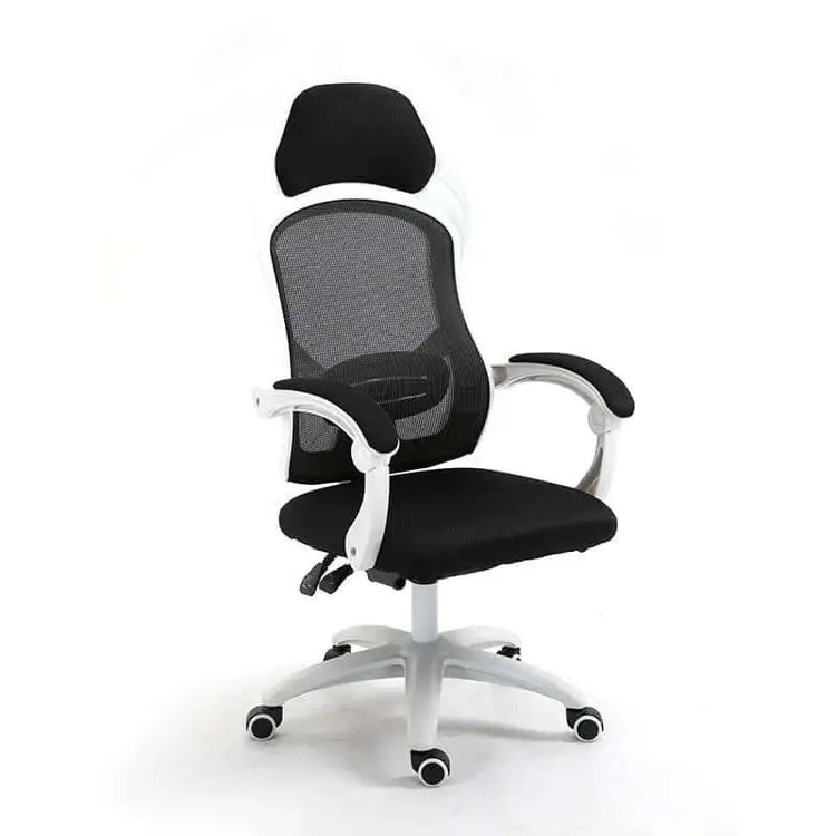 LUXEHAEVEN Ergonomic Computer Gaming Chair LuxeHaeven