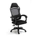 LUXEHAEVEN Ergonomic Computer Gaming Chair LuxeHaeven
