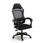 LUXEHAEVEN Ergonomic Computer Gaming Chair LuxeHaeven